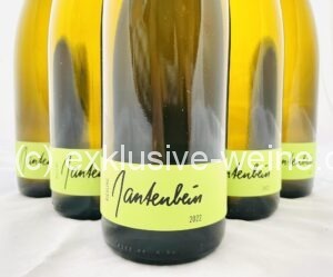 Gantenbein Riesling 2022 Rhombus Gallerie