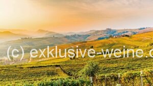 Piemonte Barolo Hills of Barolo